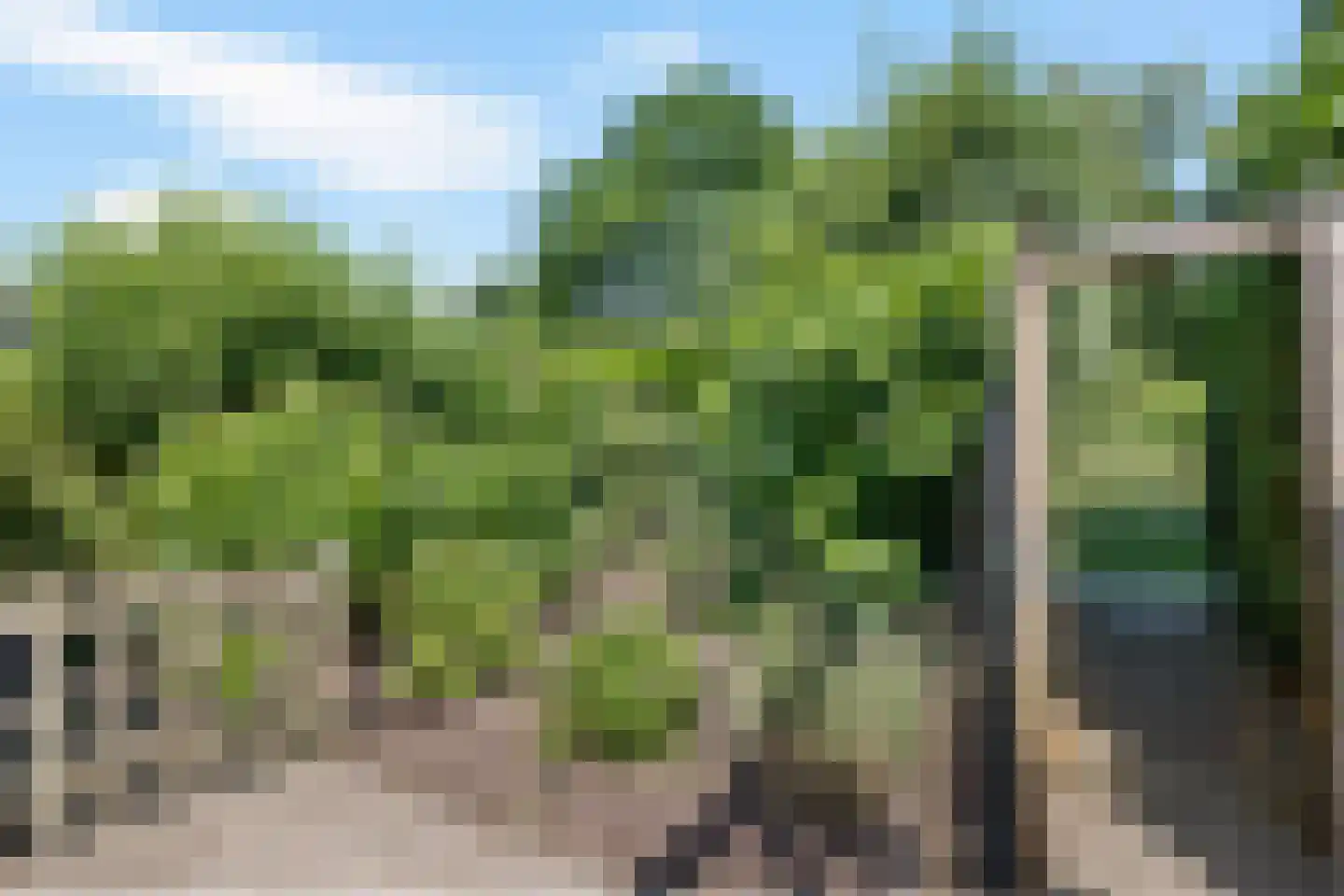 Laan van het Kwekebos 356 Emmen thumbnail 73