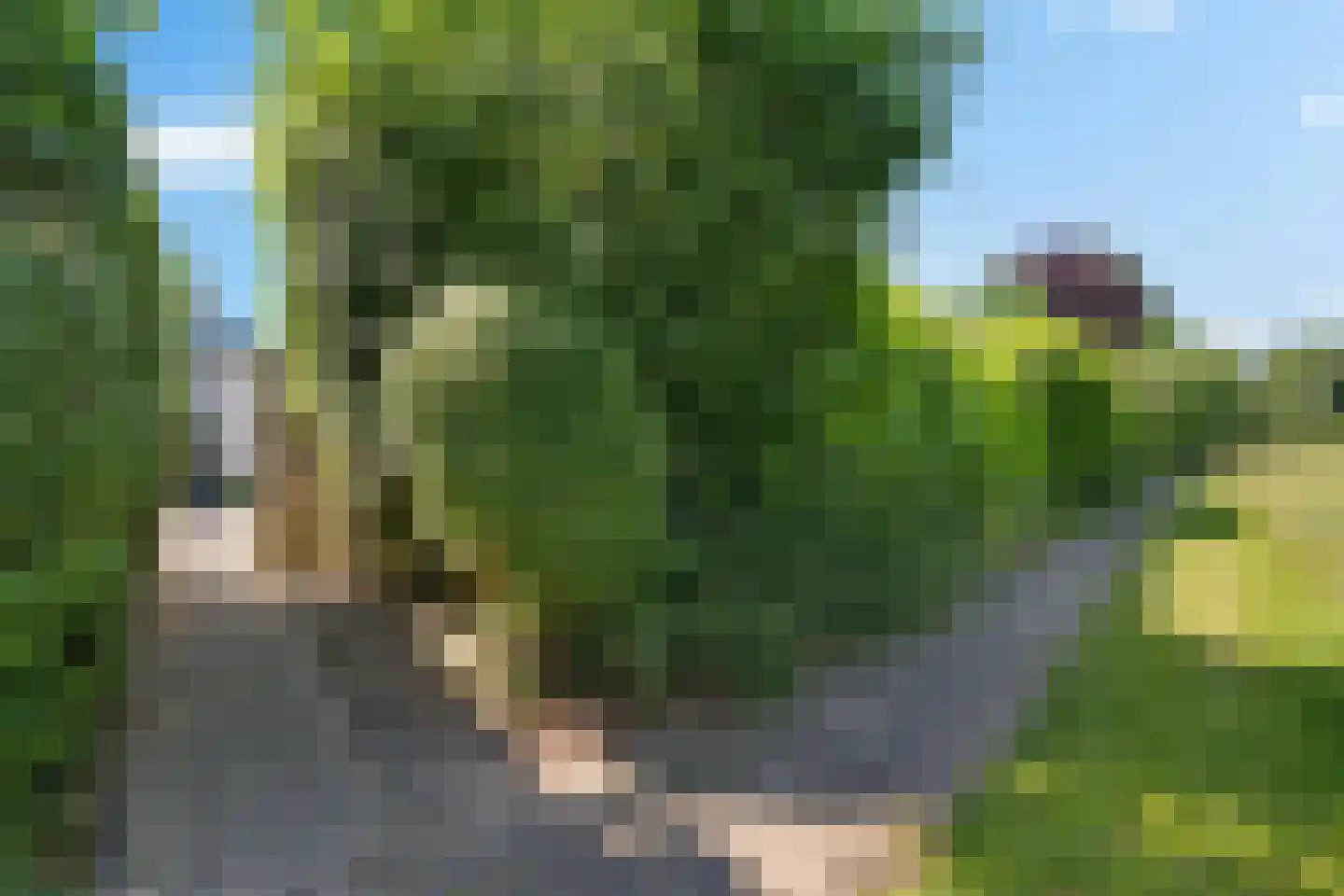 Laan van het Kwekebos 356 Emmen thumbnail 74