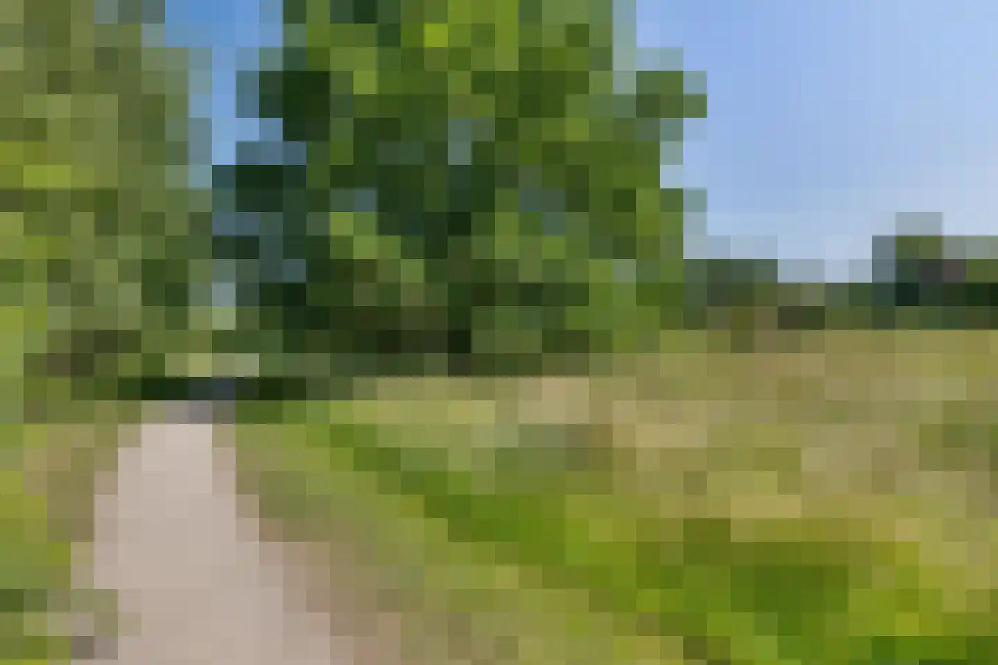 Laan van het Kwekebos 356 Emmen thumbnail 75