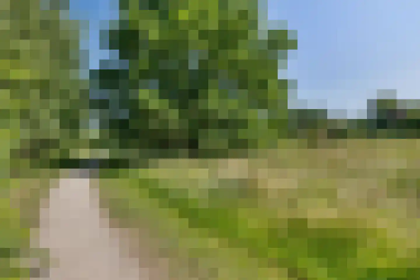 Laan van het Kwekebos 356 Emmen thumbnail 75