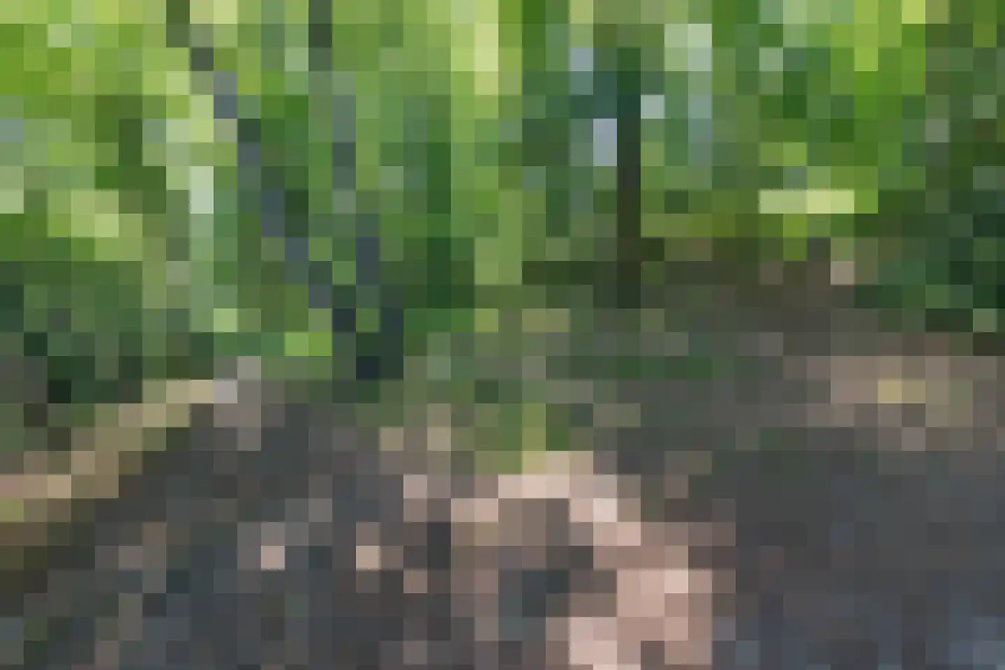 Laan van het Kwekebos 356 Emmen thumbnail 77