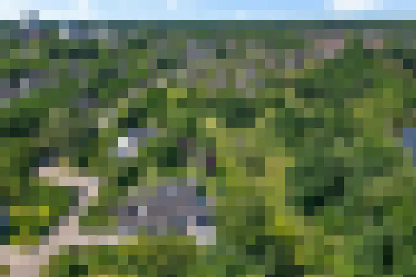 Laan van het Kwekebos 356 Emmen thumbnail 8