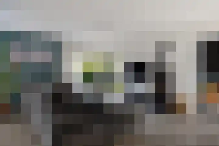 Laan van het Kwekebos 366 Emmen thumbnail 10