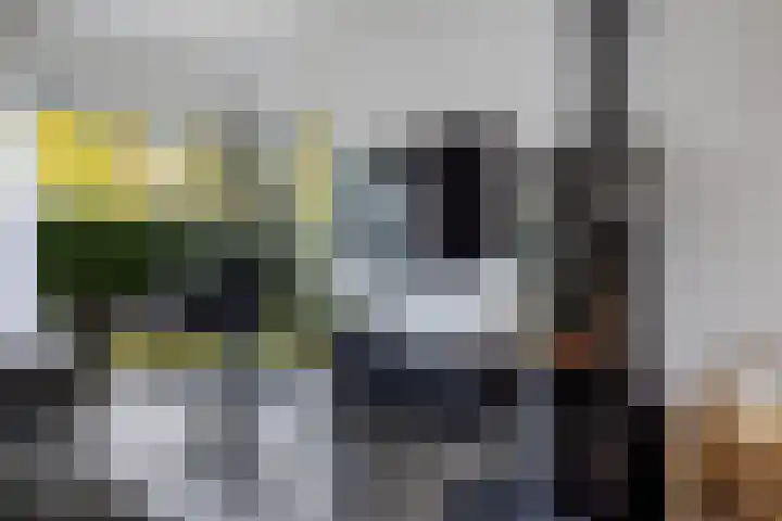 Laan van het Kwekebos 366 Emmen thumbnail 11
