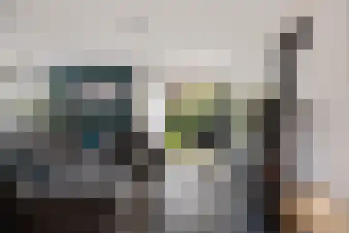 Laan van het Kwekebos 366 Emmen thumbnail 12