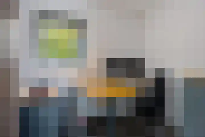 Laan van het Kwekebos 366 Emmen thumbnail 19