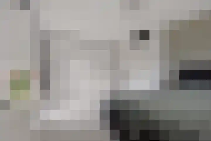Laan van het Kwekebos 366 Emmen thumbnail 23