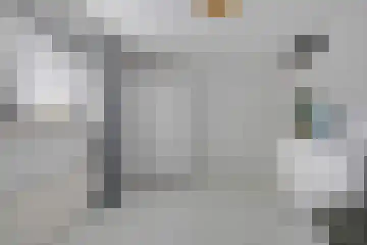 Laan van het Kwekebos 366 Emmen thumbnail 25