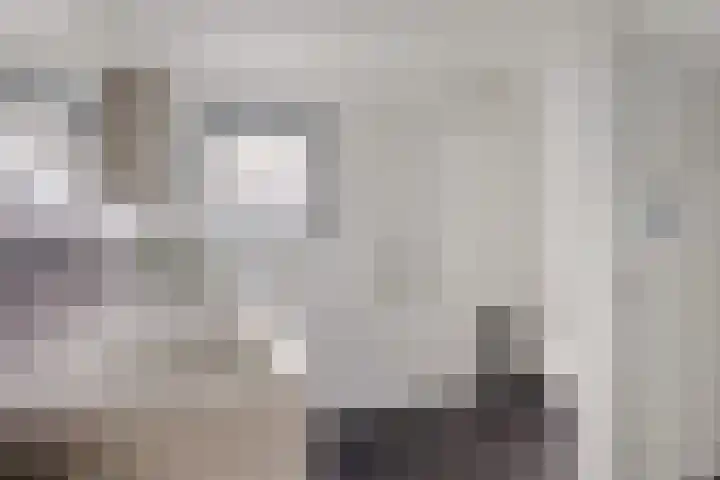 Laan van het Kwekebos 366 Emmen thumbnail 28