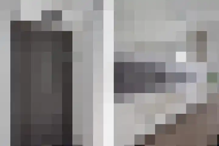 Laan van het Kwekebos 366 Emmen thumbnail 29