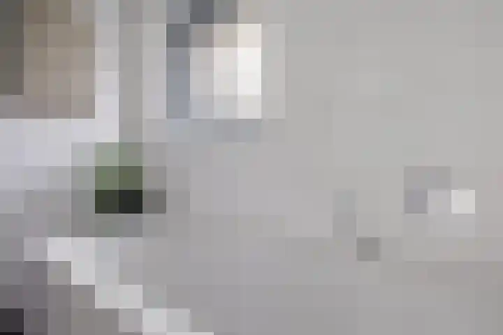 Laan van het Kwekebos 366 Emmen thumbnail 31