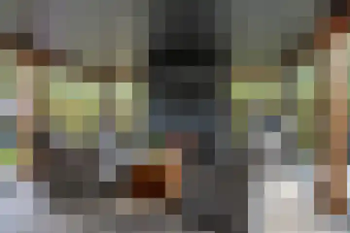 Laan van het Kwekebos 366 Emmen thumbnail 33
