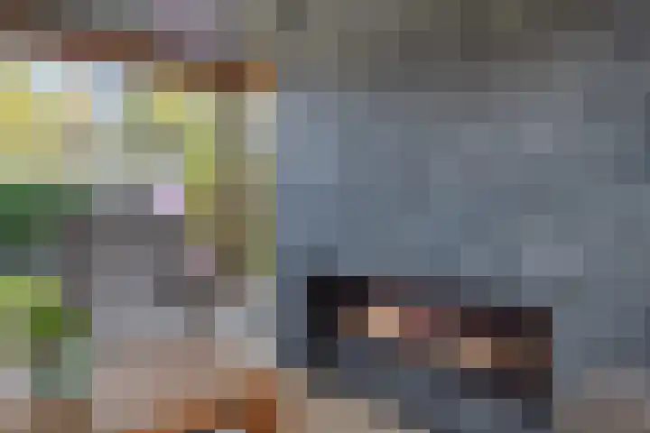 Laan van het Kwekebos 366 Emmen thumbnail 34