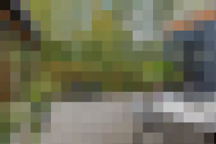 Laan van het Kwekebos 366 Emmen thumbnail 37