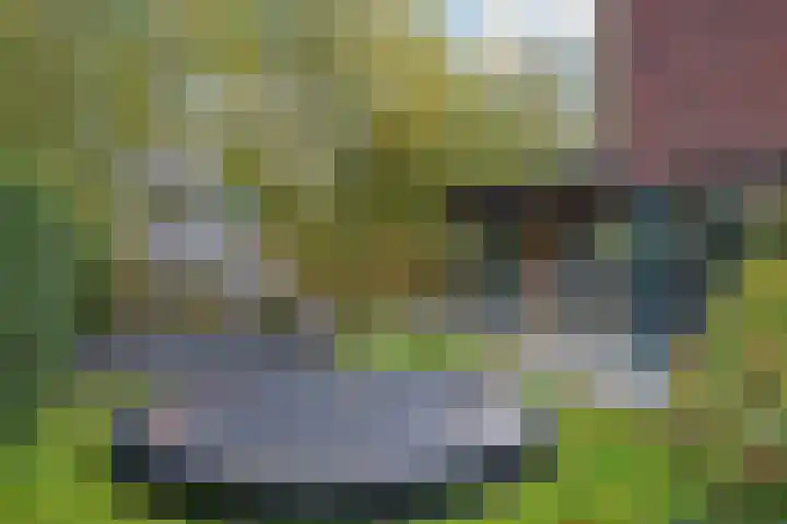 Laan van het Kwekebos 366 Emmen thumbnail 41