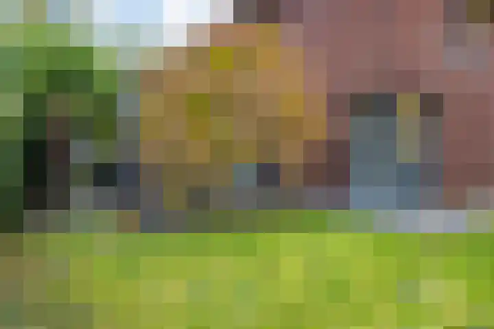 Laan van het Kwekebos 366 Emmen thumbnail 44
