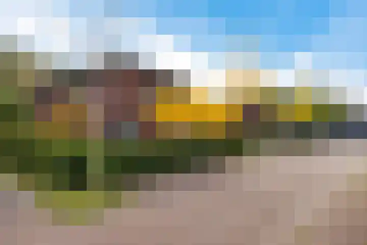 Laan van het Kwekebos 366 Emmen thumbnail 45