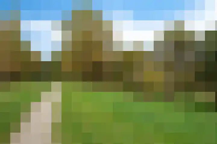 Laan van het Kwekebos 366 Emmen thumbnail 46