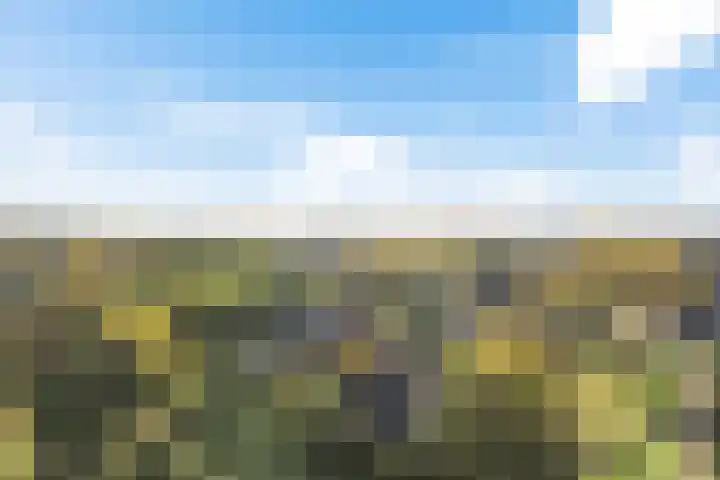 Laan van het Kwekebos 366 Emmen thumbnail 48