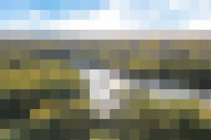 Laan van het Kwekebos 366 Emmen thumbnail 49