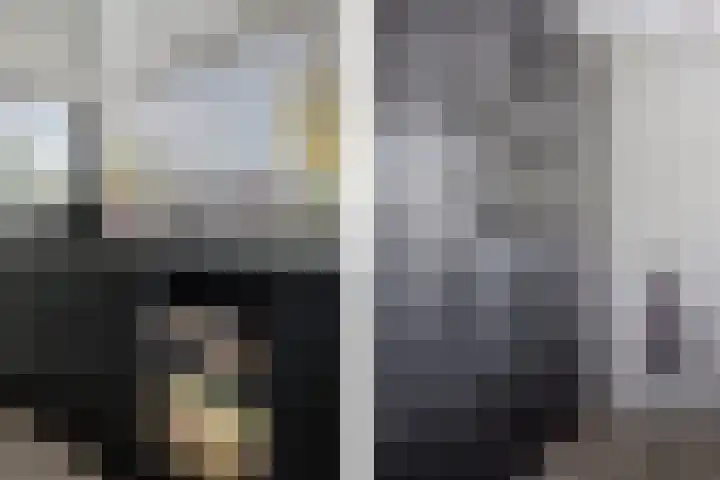 Laan van het Kwekebos 366 Emmen thumbnail 5