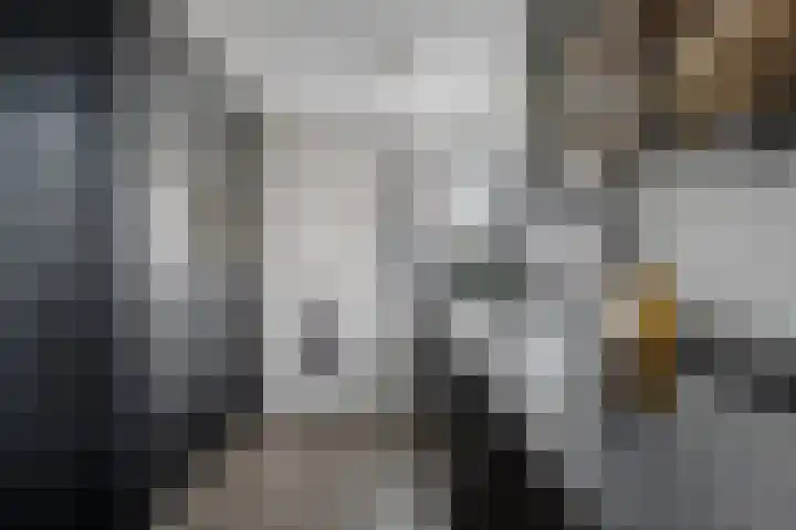 Laan van het Kwekebos 366 Emmen thumbnail 6