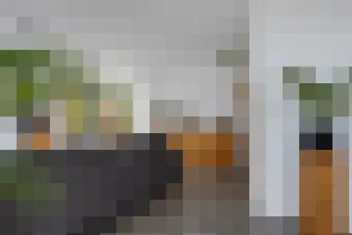 Laan van het Kwekebos 366 Emmen thumbnail 9