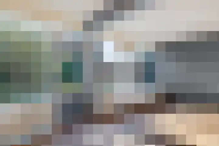 Laan van het Kwekebos 367 Emmen thumbnail 15