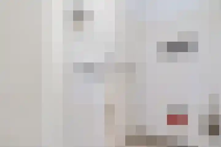 Laan van het Kwekebos 367 Emmen thumbnail 17