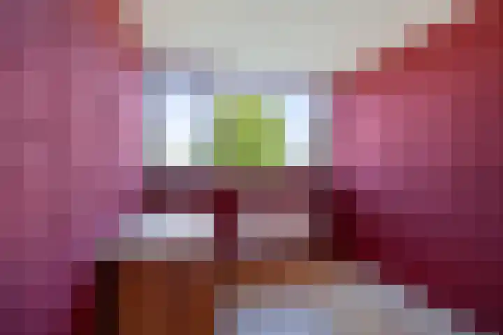 Laan van het Kwekebos 367 Emmen thumbnail 19