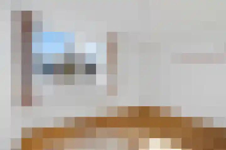 Laan van het Kwekebos 367 Emmen thumbnail 25