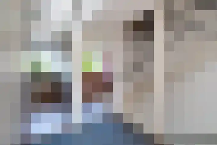 Laan van het Kwekebos 367 Emmen thumbnail 29
