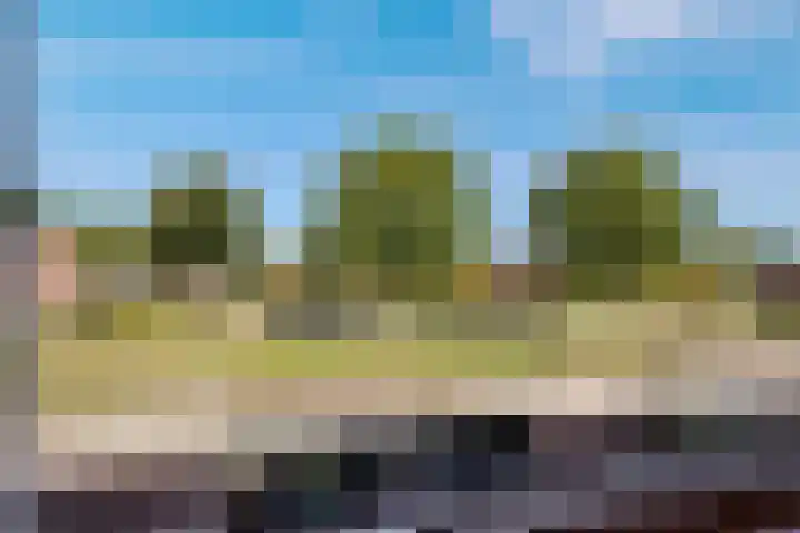 Laan van het Kwekebos 367 Emmen thumbnail 31