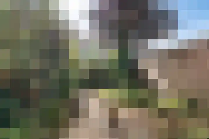 Laan van het Kwekebos 367 Emmen thumbnail 32