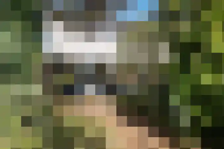 Laan van het Kwekebos 367 Emmen thumbnail 33