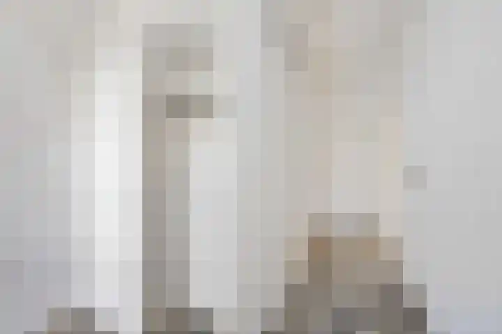 Laan van het Kwekebos 367 Emmen thumbnail 6