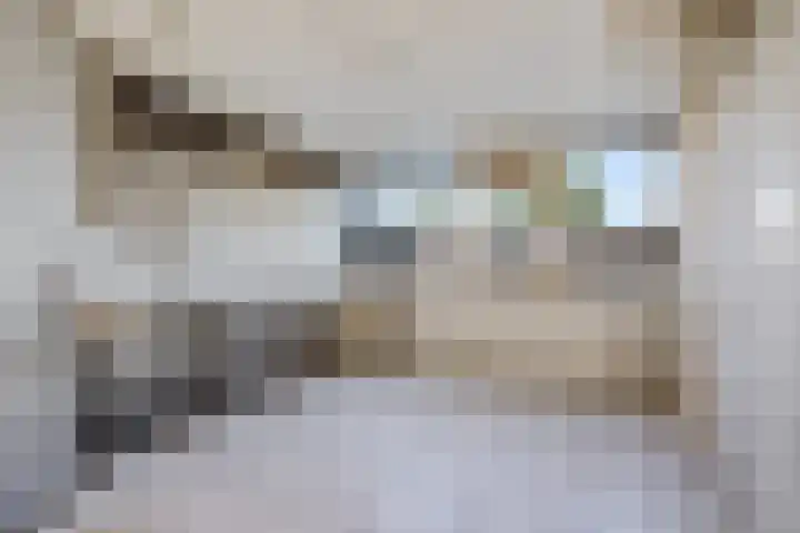 Laan van het Kwekebos 367 Emmen thumbnail 9