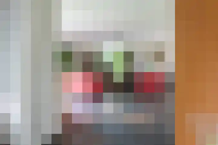 Laan van het Kwekebos 392 Emmen thumbnail 10