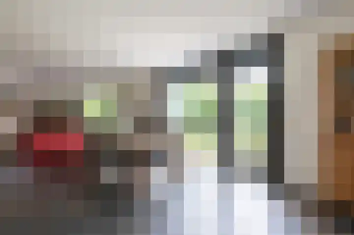 Laan van het Kwekebos 392 Emmen thumbnail 11