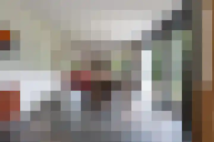 Laan van het Kwekebos 392 Emmen thumbnail 13