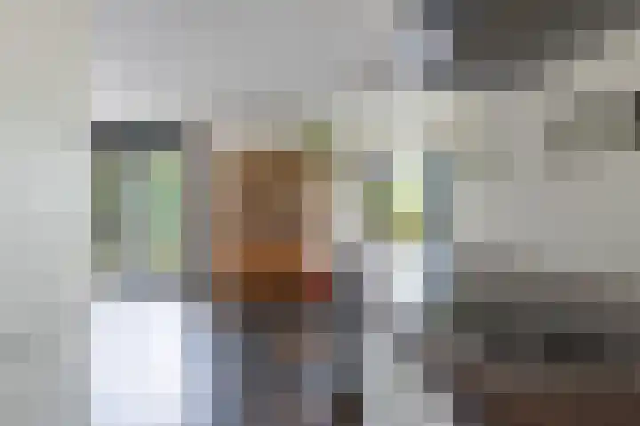 Laan van het Kwekebos 392 Emmen thumbnail 14