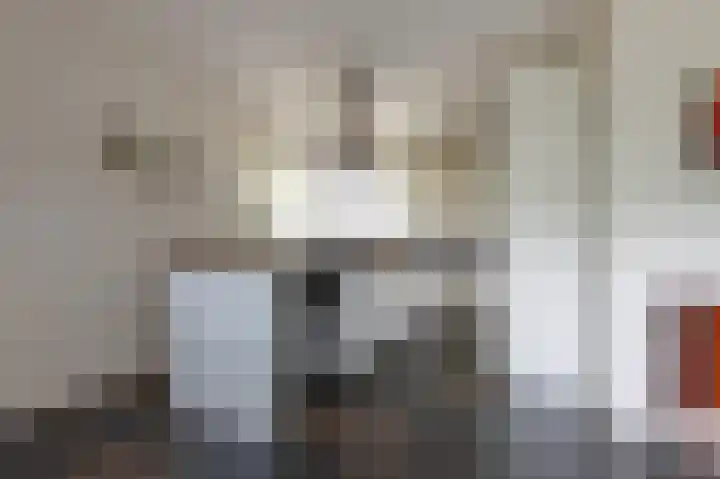 Laan van het Kwekebos 392 Emmen thumbnail 15