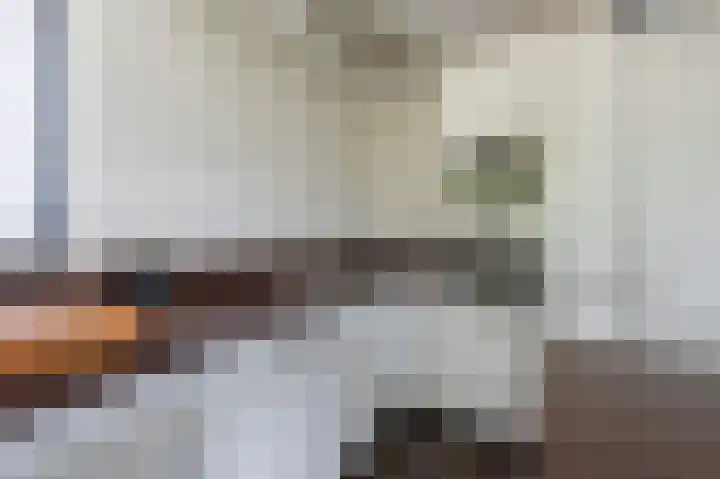 Laan van het Kwekebos 392 Emmen thumbnail 17