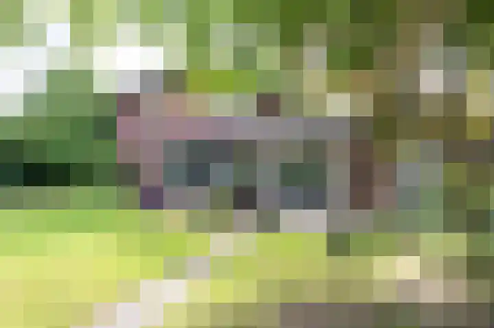 Laan van het Kwekebos 392 Emmen foto 2
