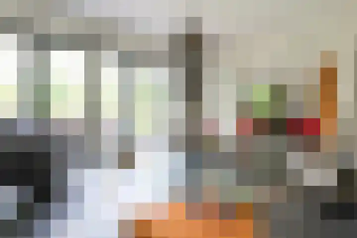 Laan van het Kwekebos 392 Emmen foto 3