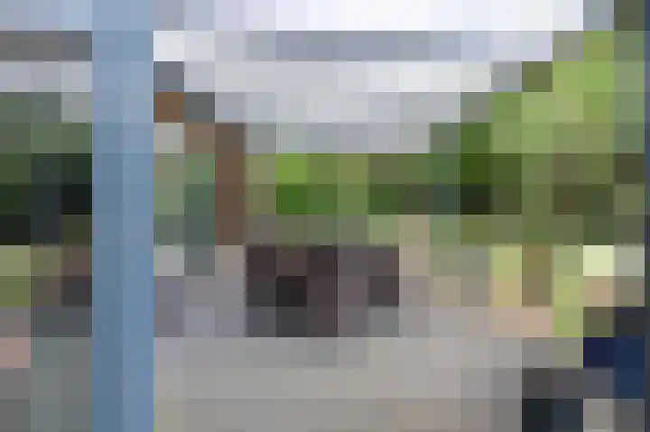 Laan van het Kwekebos 392 Emmen thumbnail 30