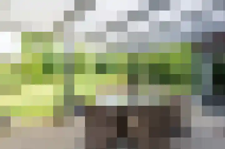 Laan van het Kwekebos 392 Emmen thumbnail 31