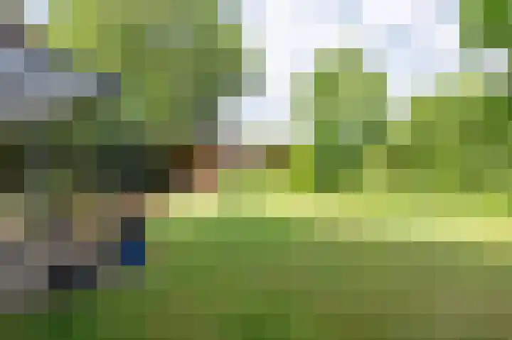 Laan van het Kwekebos 392 Emmen thumbnail 32