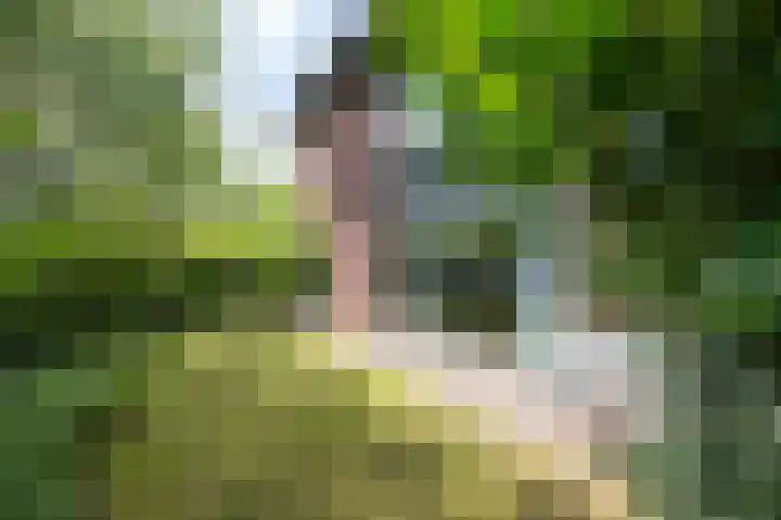 Laan van het Kwekebos 392 Emmen thumbnail 33