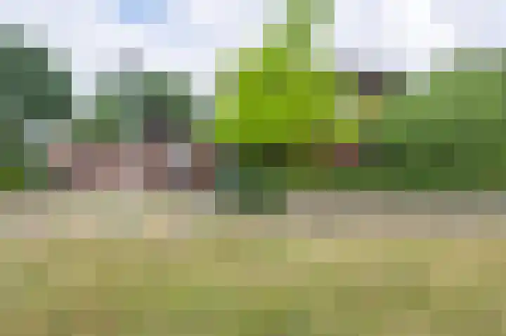 Laan van het Kwekebos 392 Emmen thumbnail 38